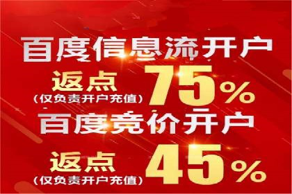 百度竞价赚钱技巧：案例分析